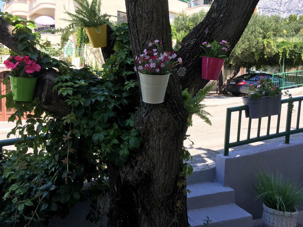 Apartmani Marko Tučepi Esterno foto